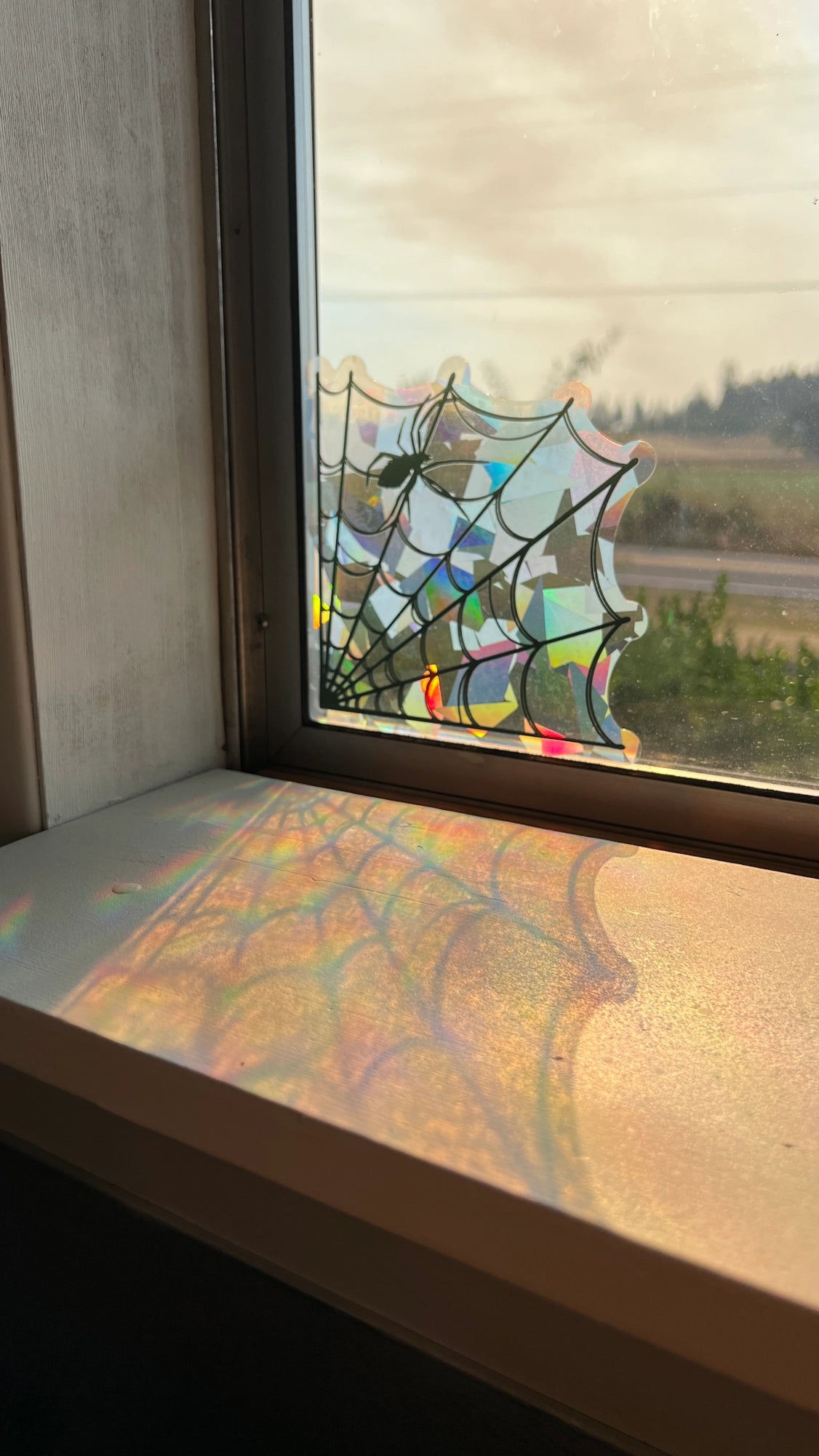 Giant Spiderweb Suncatcher Sticker