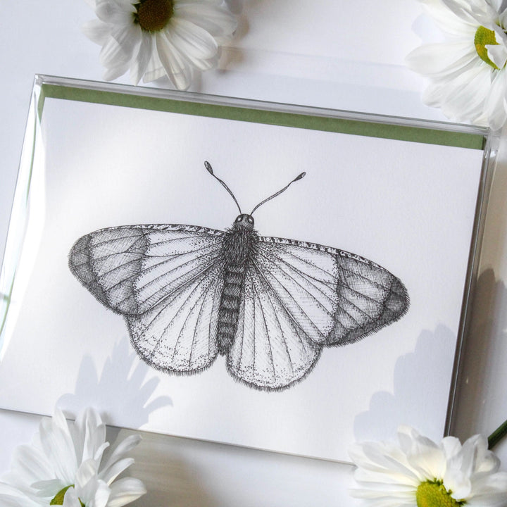 Butterflies Assorted Card Boxed Set