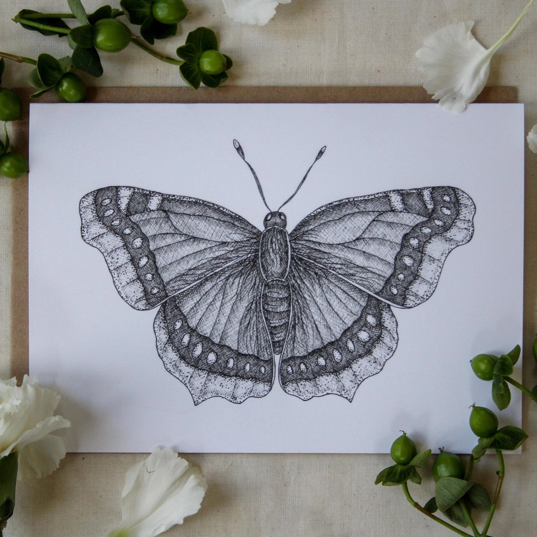 Mourning Cloak Butterfly Greeting Card