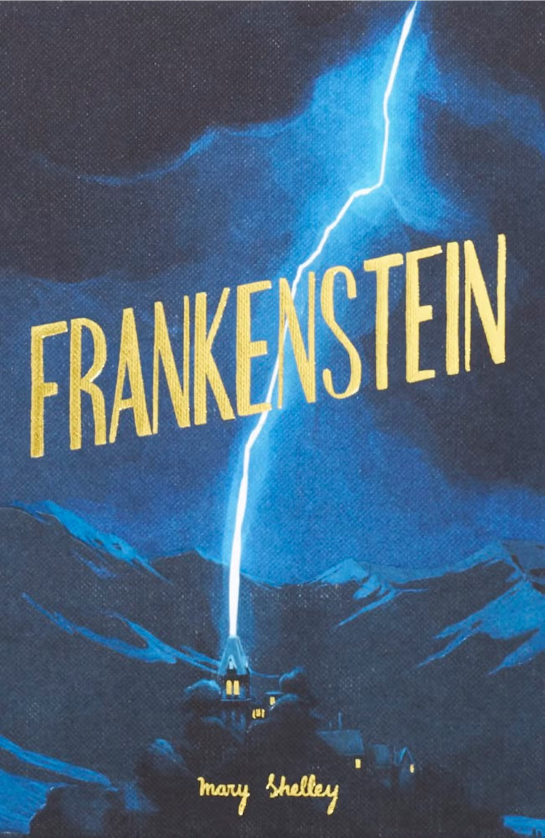 Frankenstein Novel