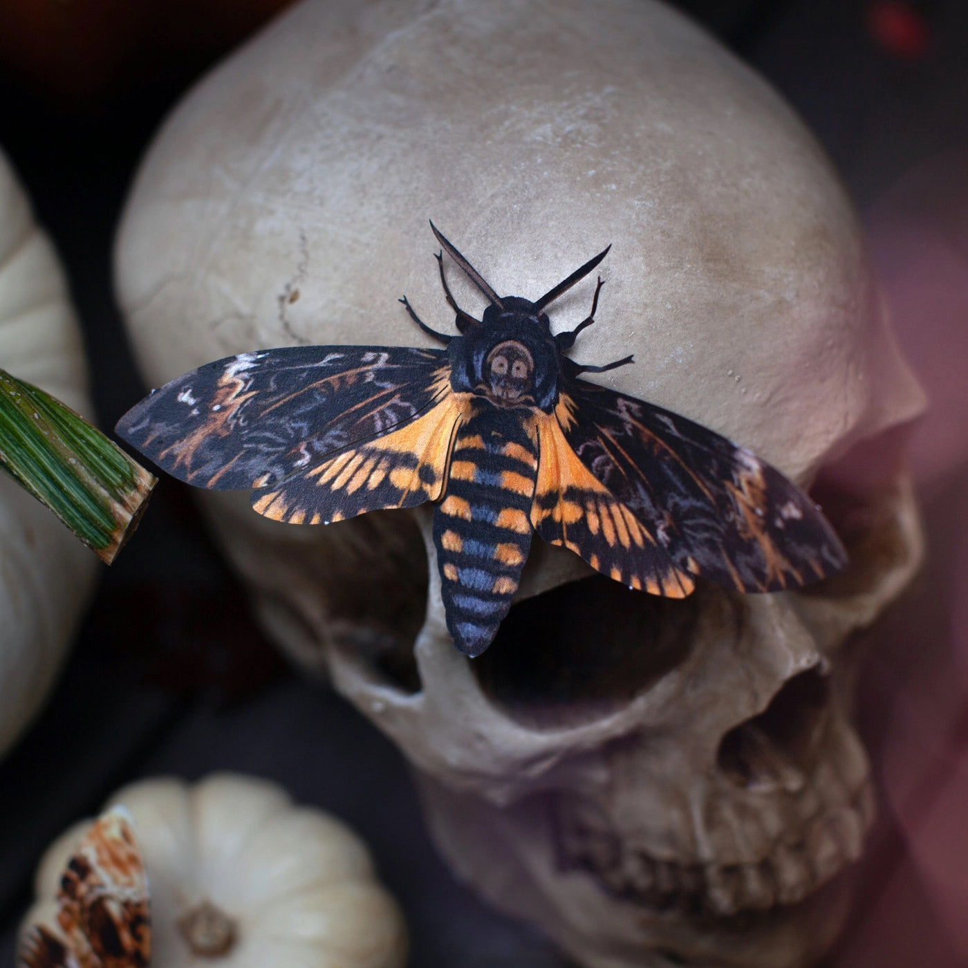 Halloween Death's Head Paper Moth Set