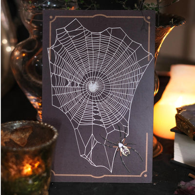 Halloween Weaver Spider and Web Set