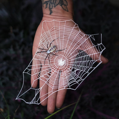 Halloween Weaver Spider and Web Set