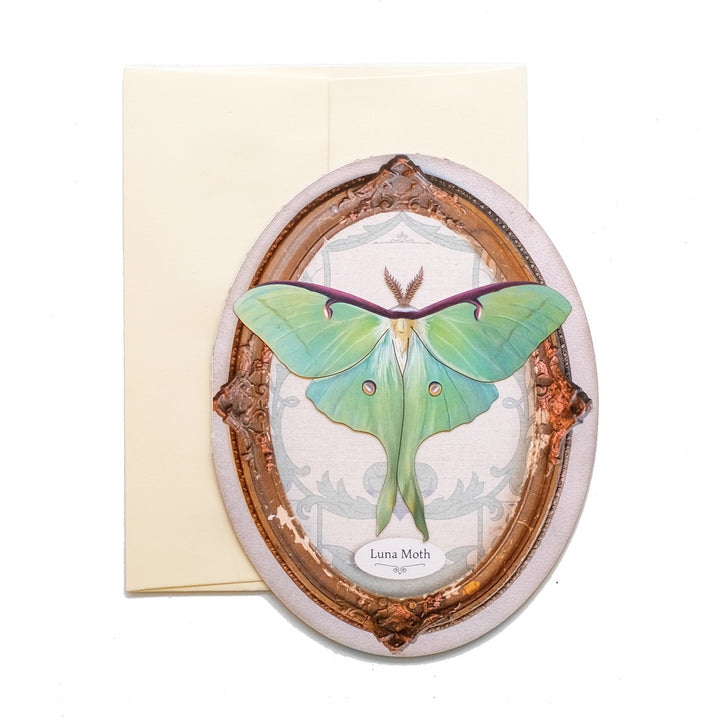 Luna Moth Oval Greeting Card