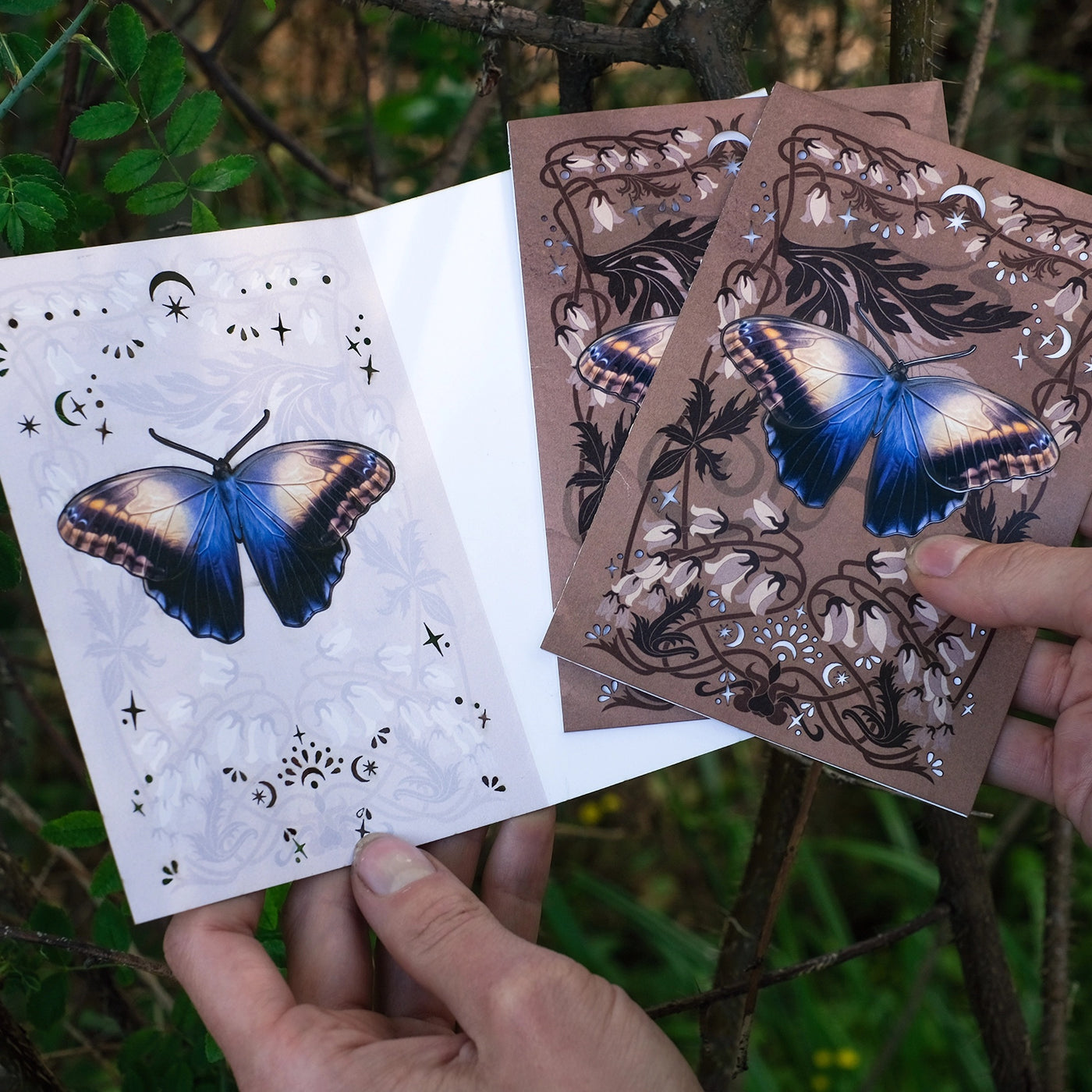 Owl Butterfly Pop-Out Greeting Card