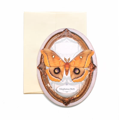Polyphemus Moth Oval Greeting Card