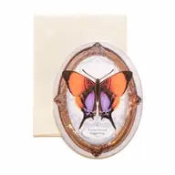 Purple-Stained Daggerwing Oval Greeting Card