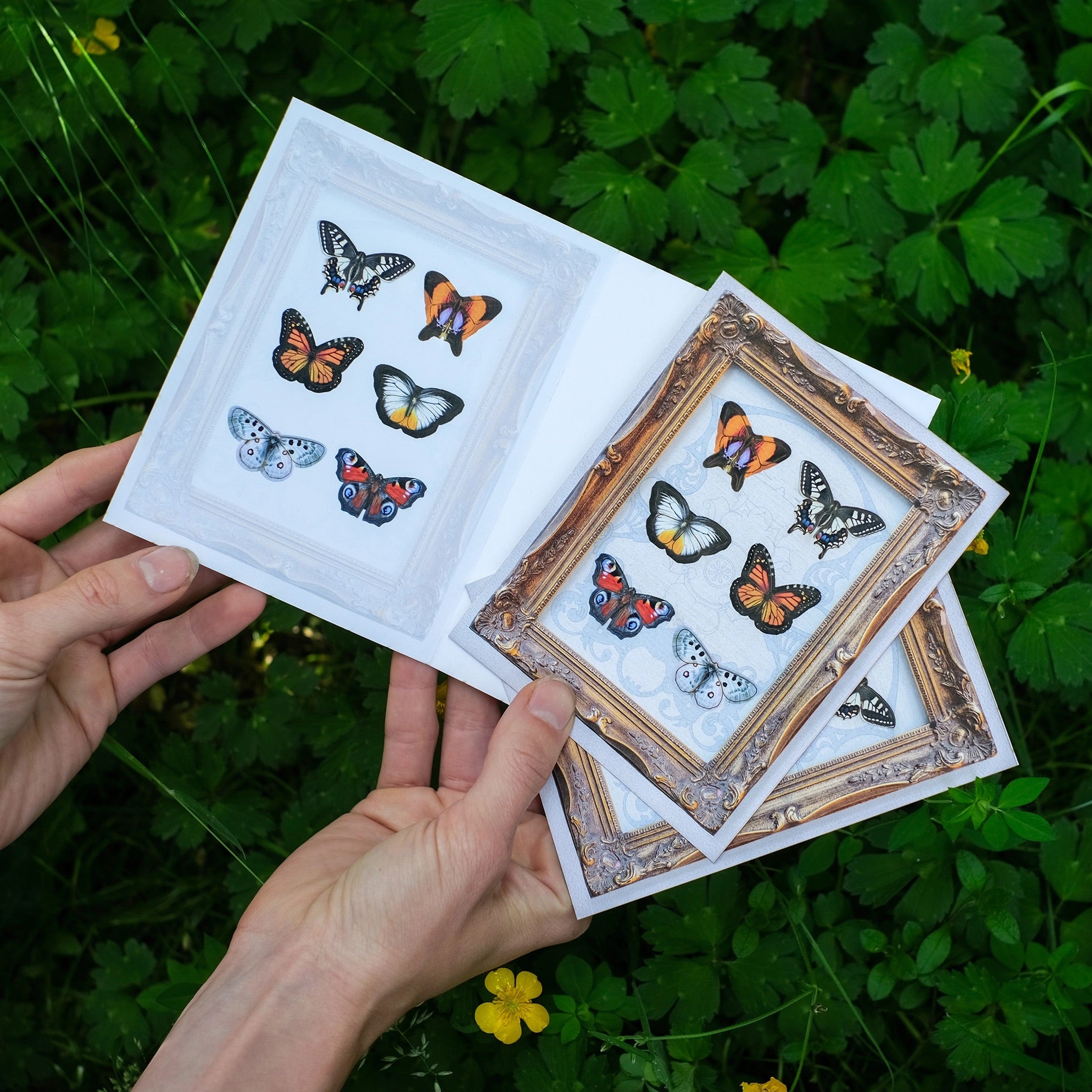 Spellbound Mini Butterfly Pop-Out Greeting Card