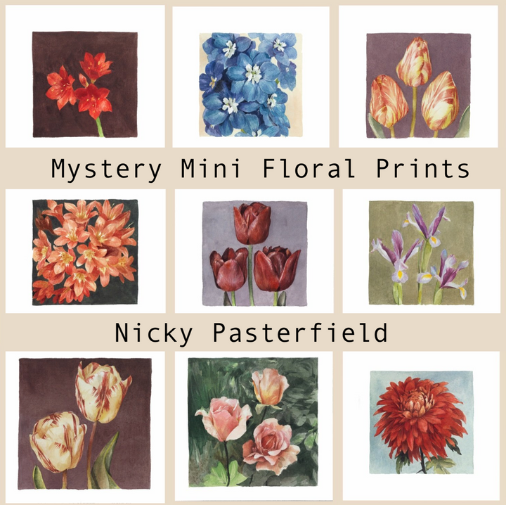 Mystery Mini Floral Print - Nicky Pasterfield