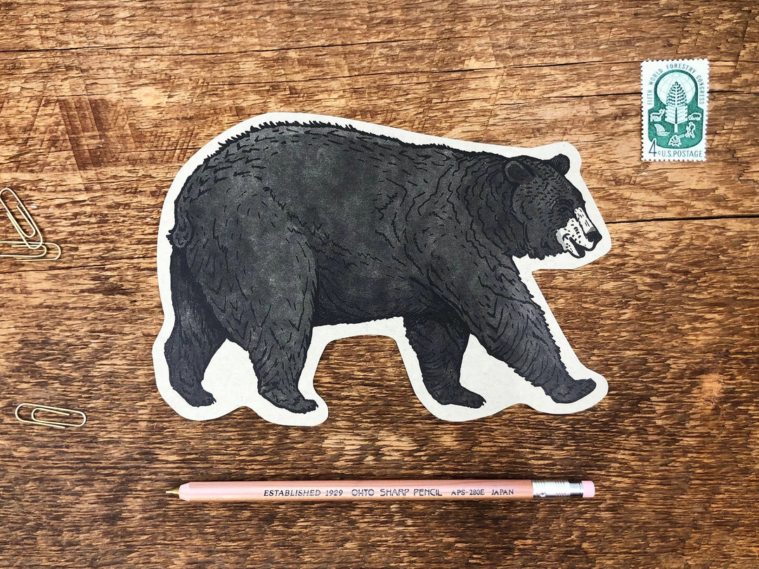 Black Bear Postcard