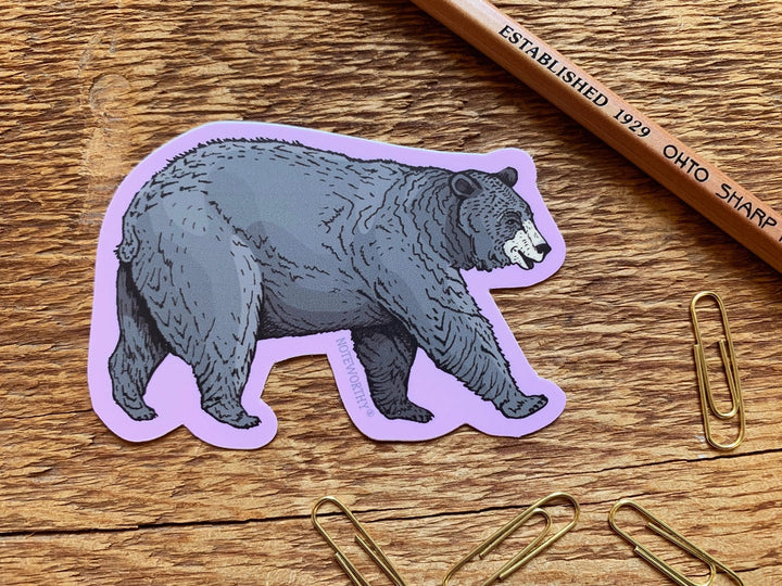 Black Bear Sticker