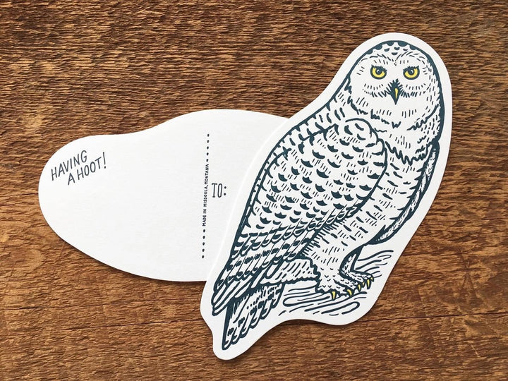 Snowy Owl Postcard