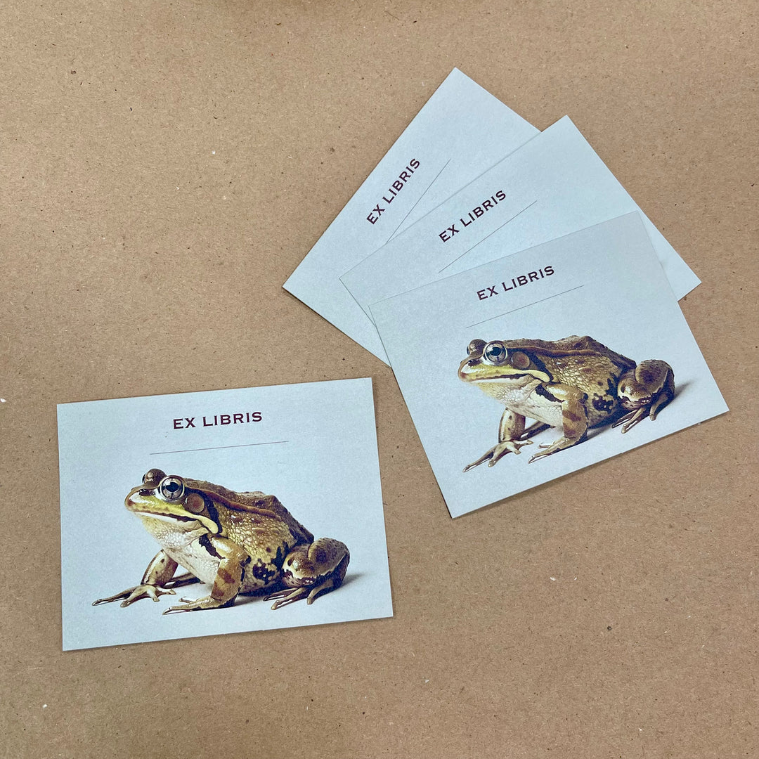 Frog Bookplate Sticker