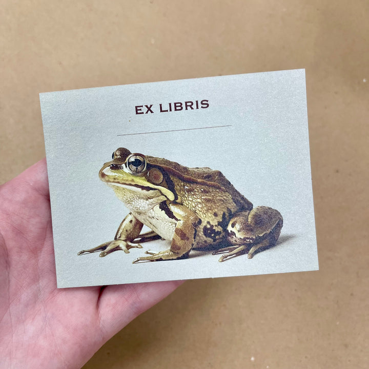 Frog Bookplate Sticker