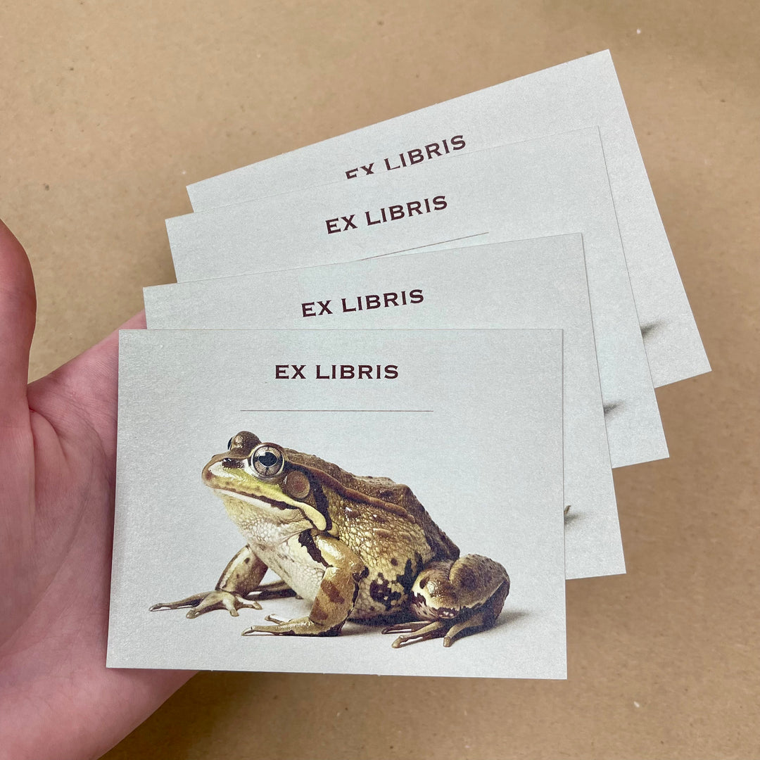 Frog Bookplate Sticker