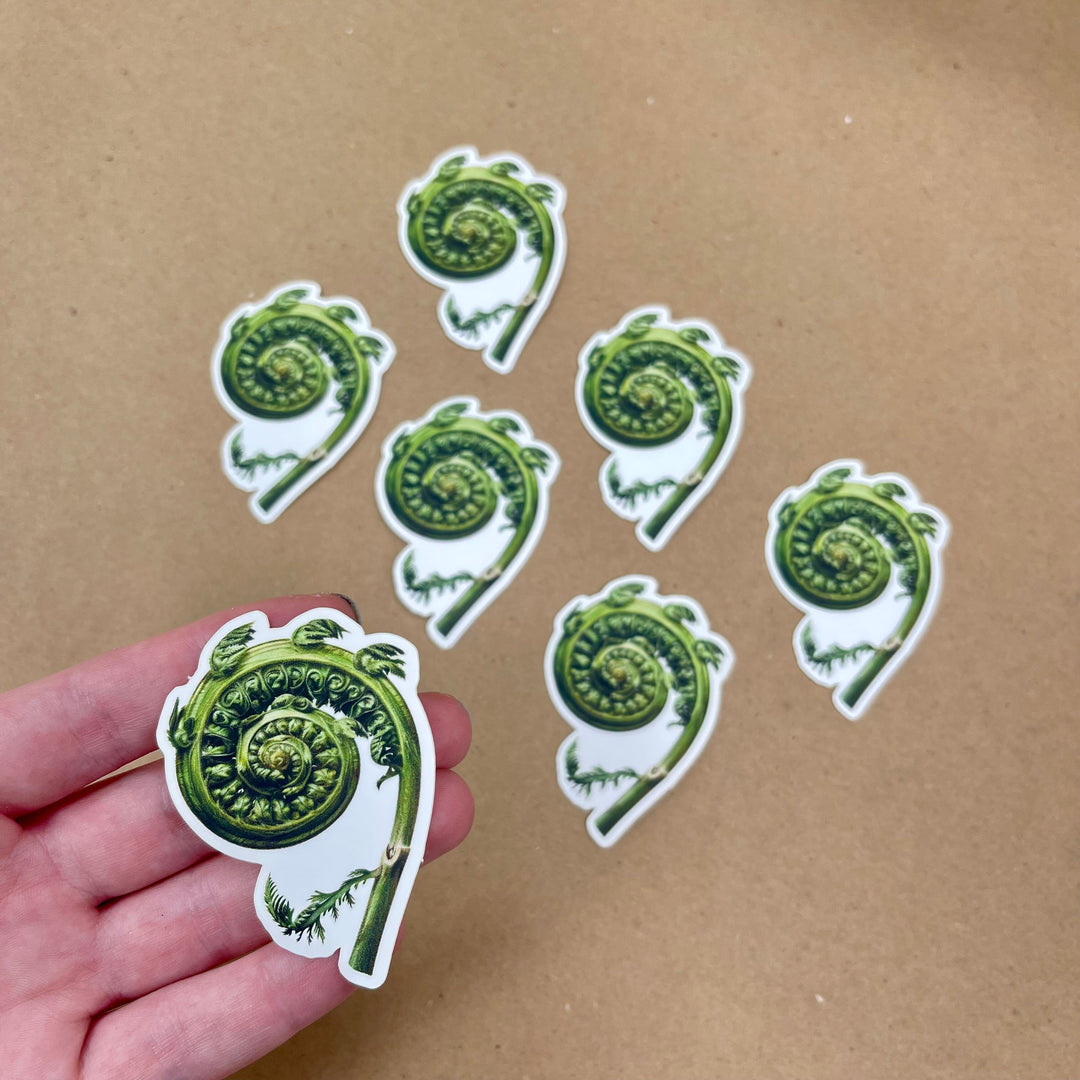 Fiddlehead Fern Sticker