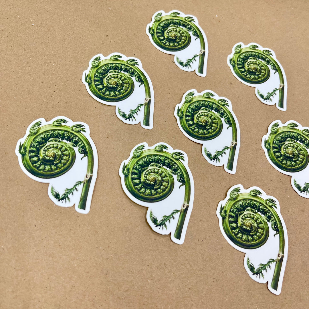 Fiddlehead Fern Sticker