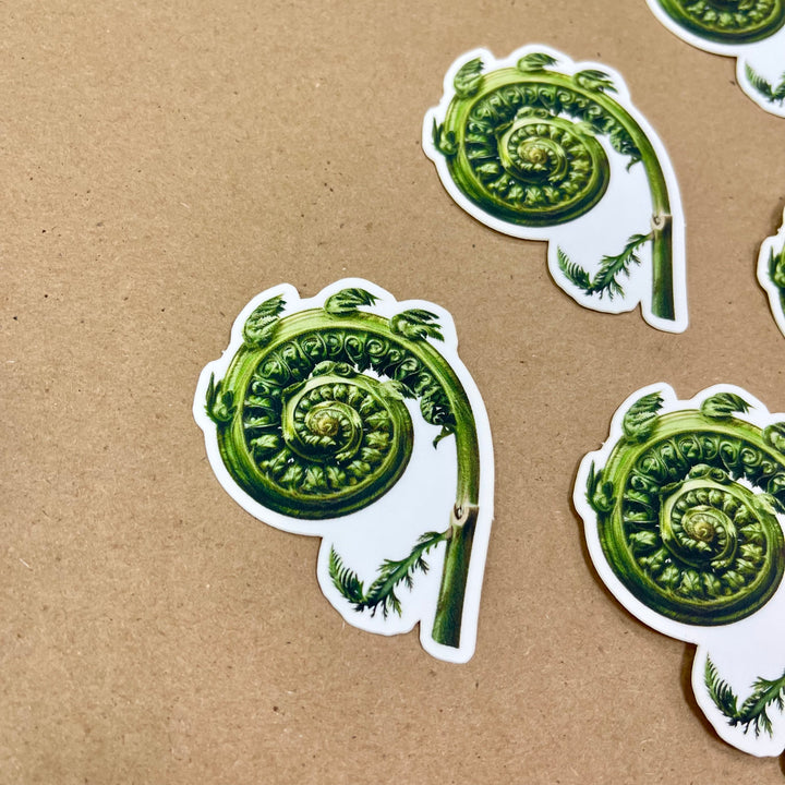 Fiddlehead Fern Sticker