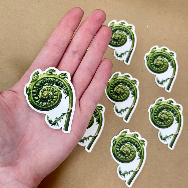 Fiddlehead Fern Sticker