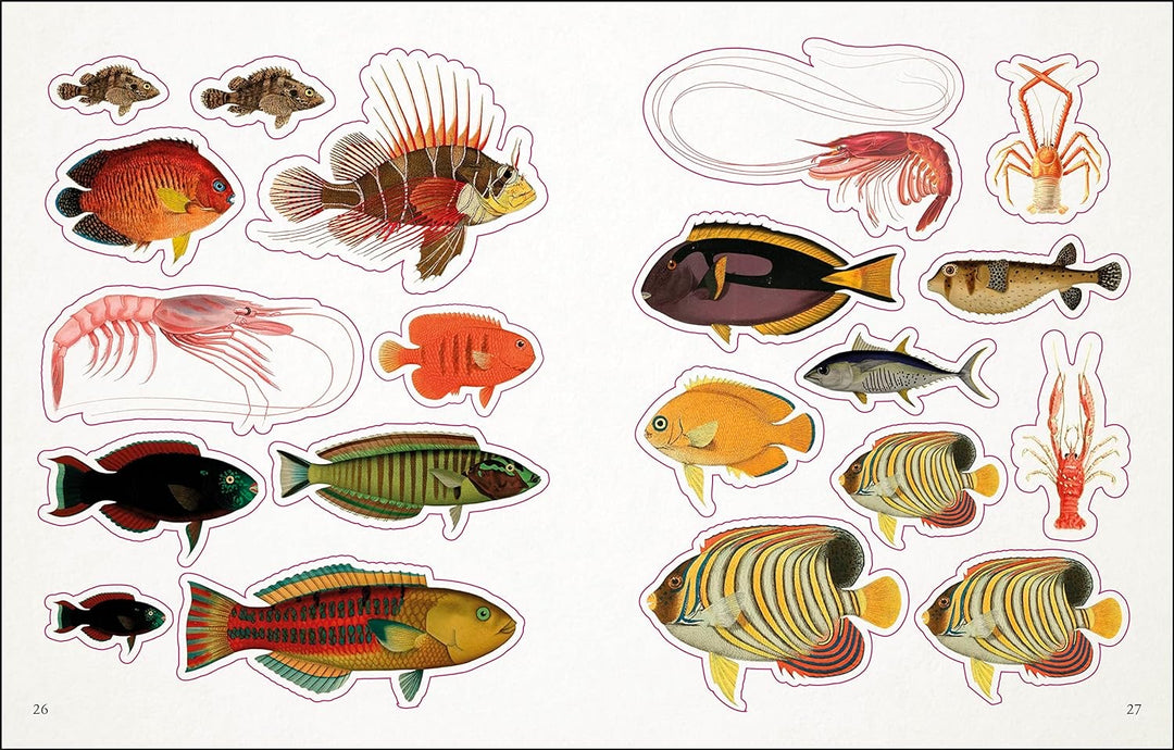 The Seashore Anthology Sticker Book (1000+ Stickers)