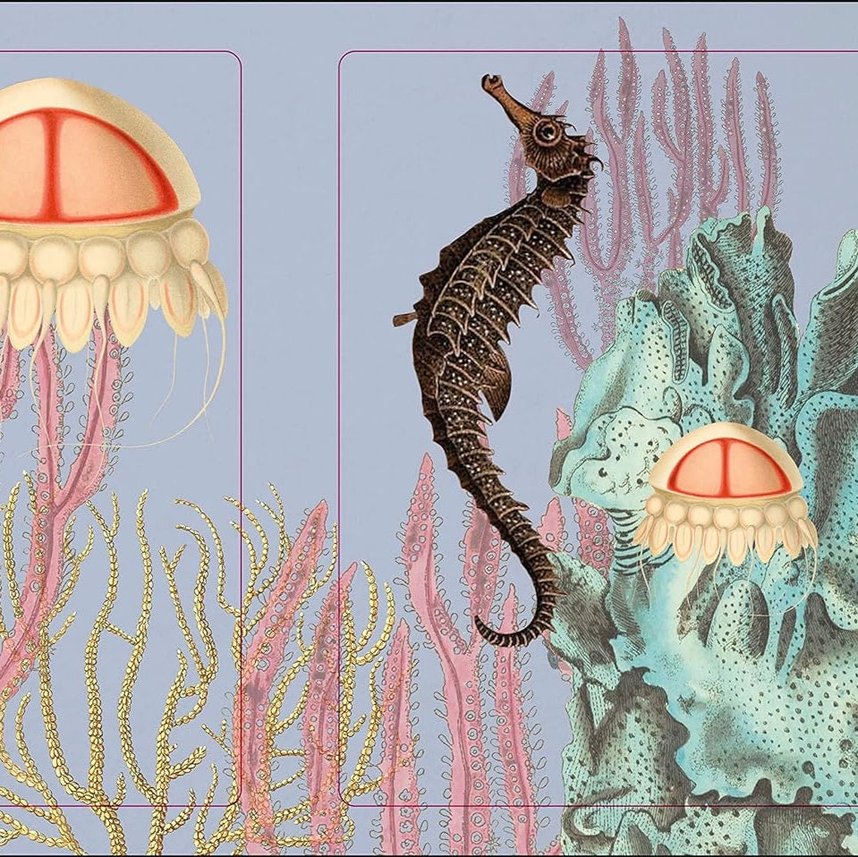 The Seashore Anthology Sticker Book (1000+ Stickers)