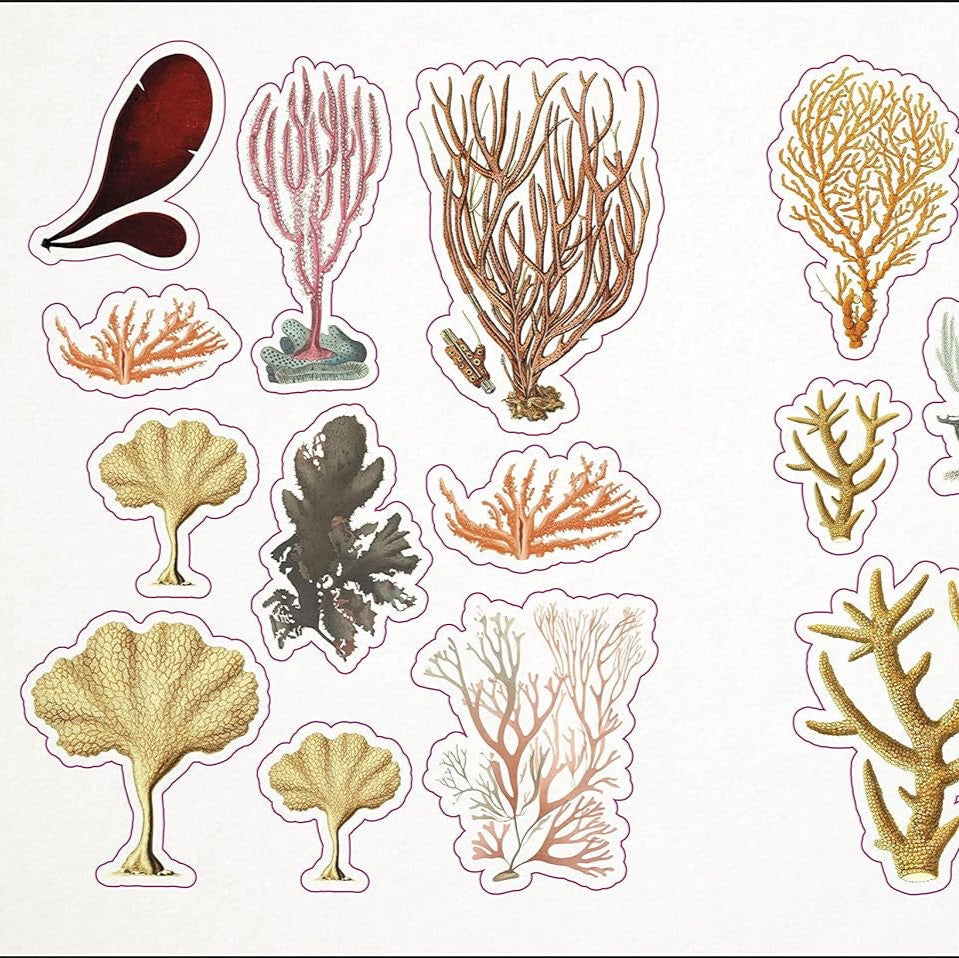 The Seashore Anthology Sticker Book (1000+ Stickers)