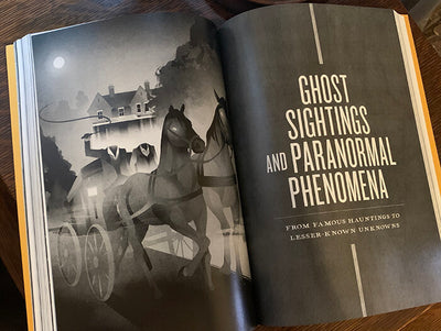 Chasing Ghosts Book