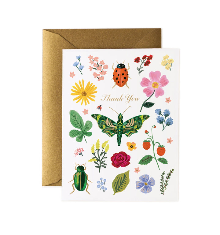 Curio Thank You Card Box Set