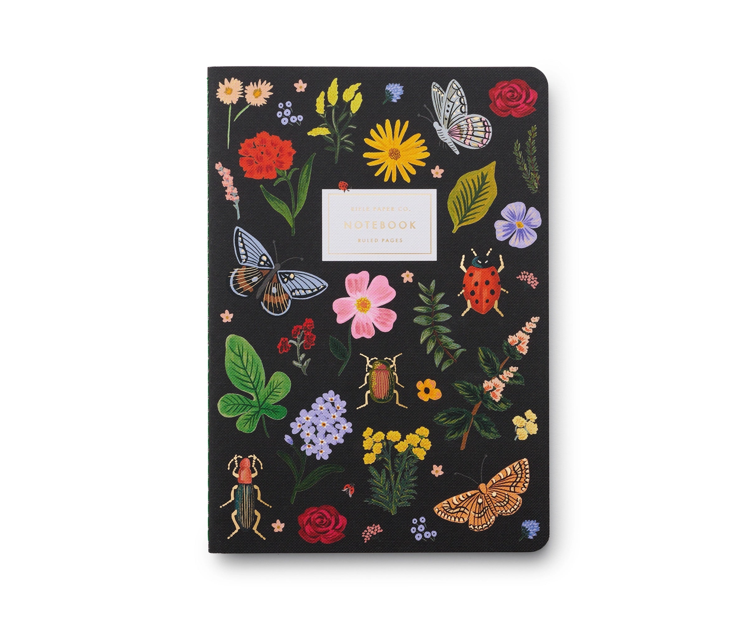 Curio Creatures Notebook Set