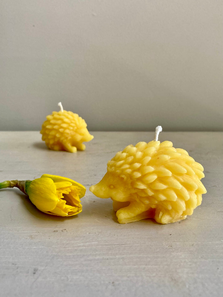 Hedgehog Beeswax Candle