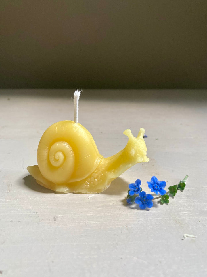 Wilbur the Snail Beeswax Candle