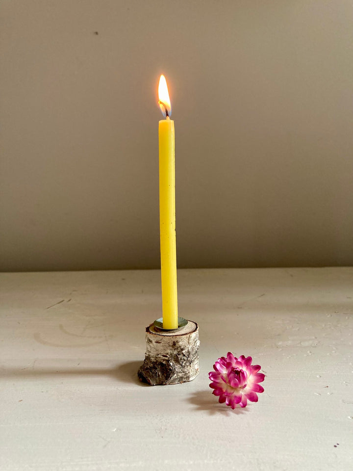 Tiny Taper Beeswax Candles with Birch Holder