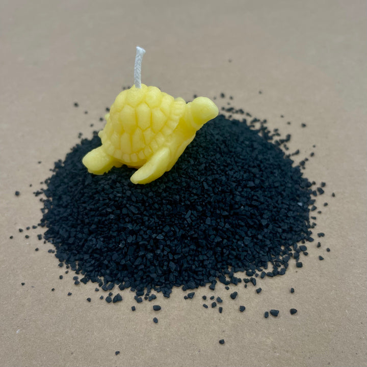 Tidepool Tortoise Beeswax Candle