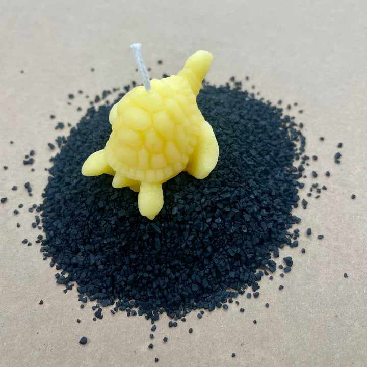 Tidepool Tortoise Beeswax Candle