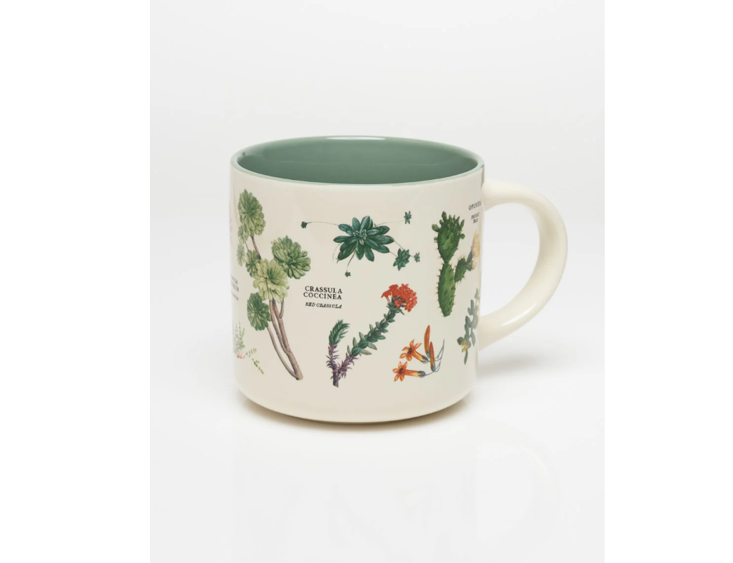 Succulents Ceramic Mug