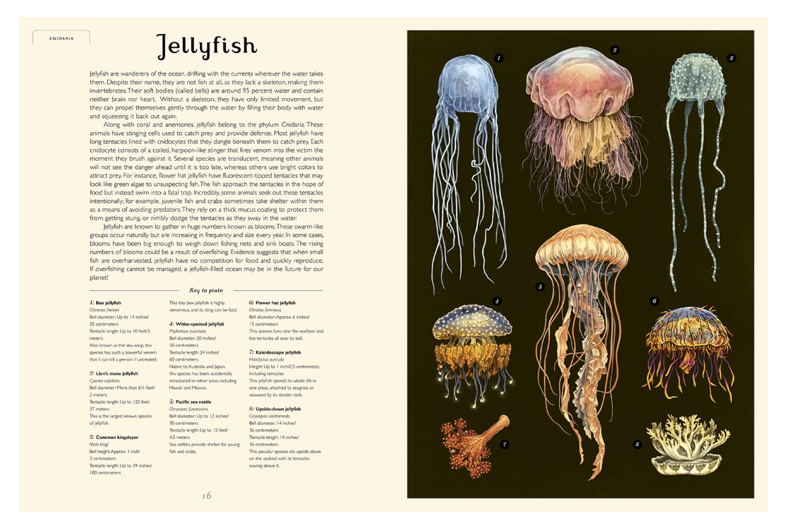 Oceanarium - Jumbo Welcome to the Museum Book