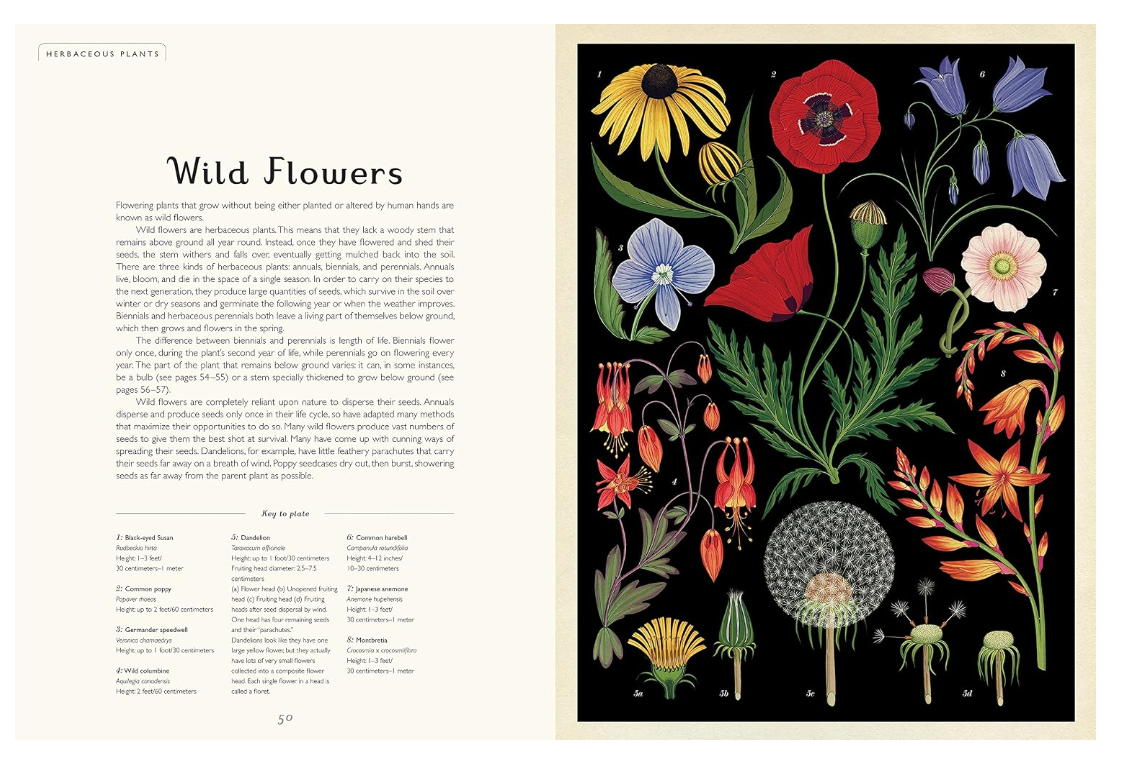 Botanicum - Jumbo Welcome to the Museum Book
