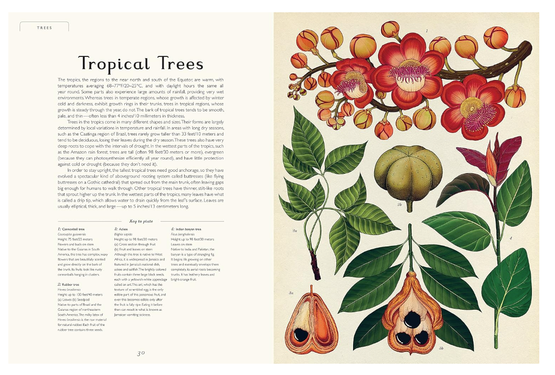 Botanicum - Jumbo Welcome to the Museum Book
