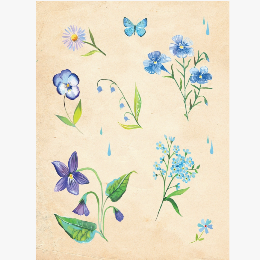 Katie Daisy's Wildflower Picnic Sticker Book