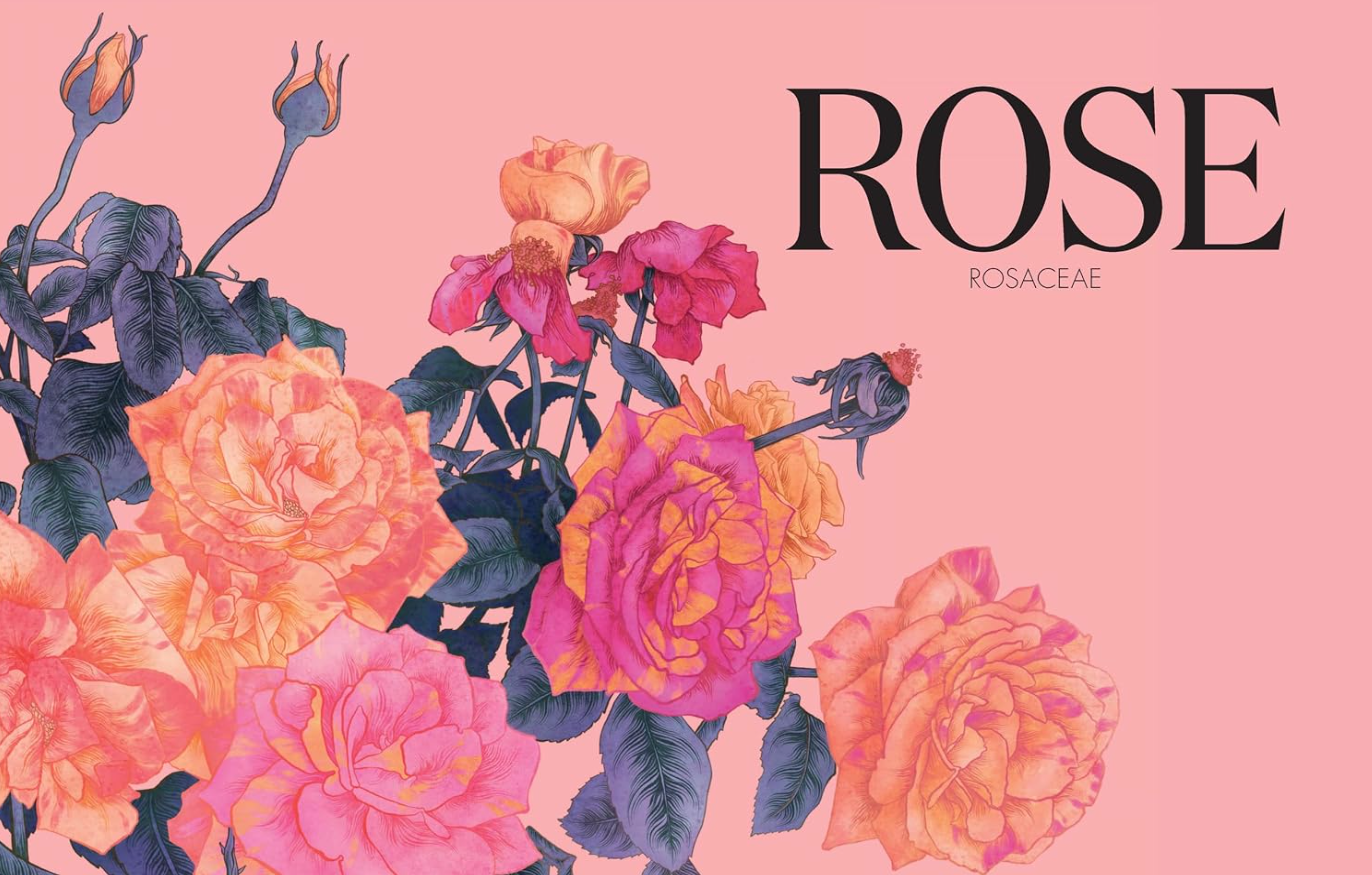 Petal: The World of Flowers Through an Artist's Eye