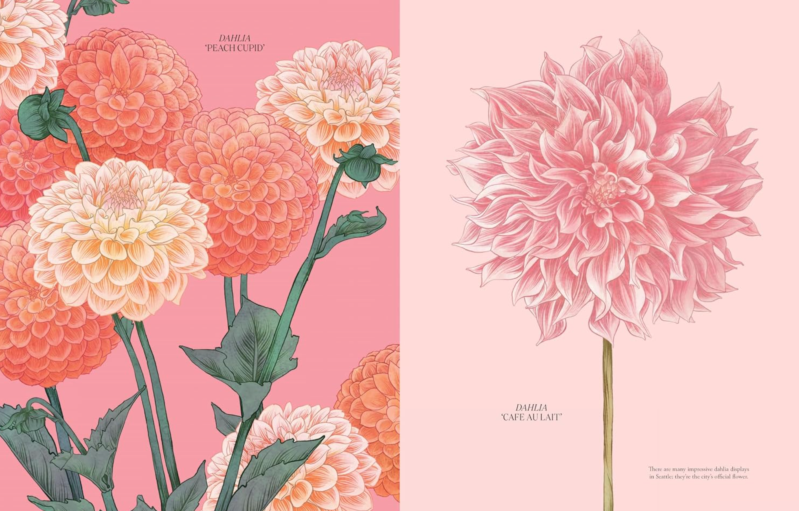 Petal: The World of Flowers Through an Artist's Eye