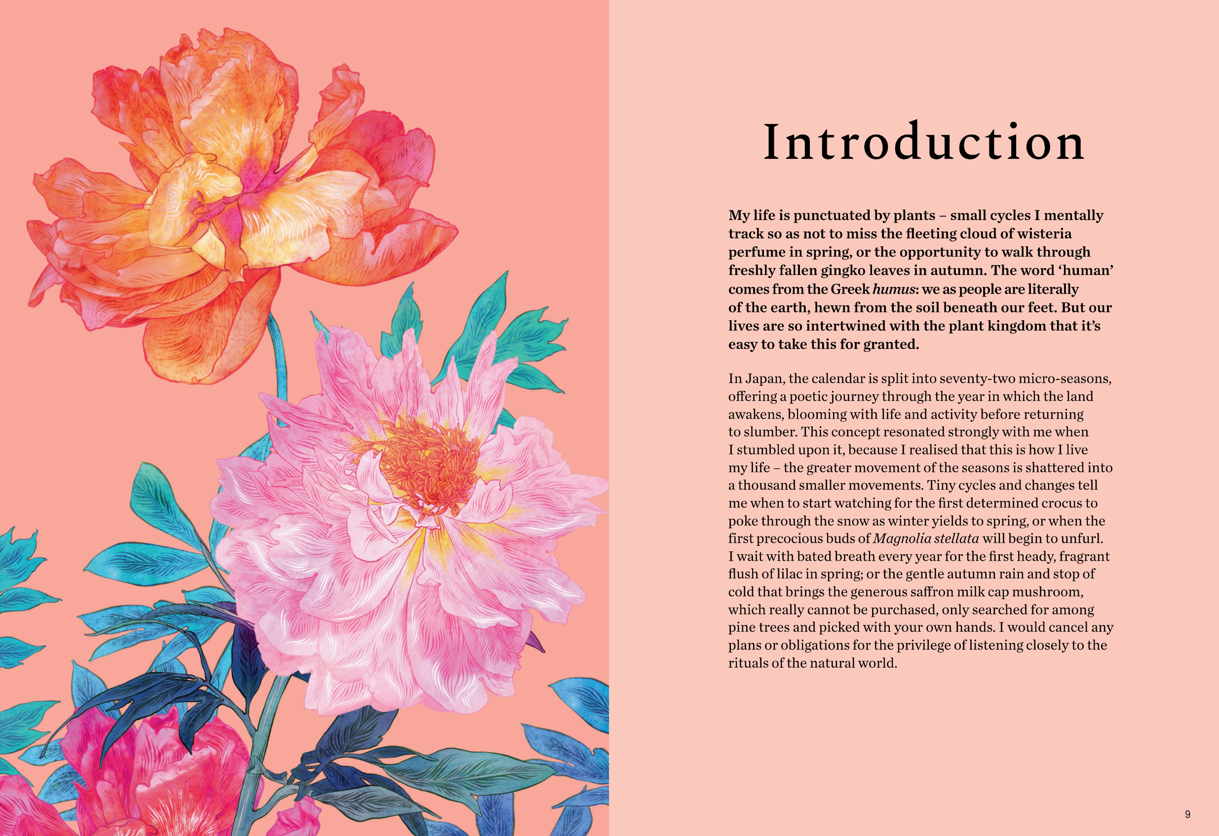 Blossom - Practical and Creative Ways to Find Wonder in the Floral World