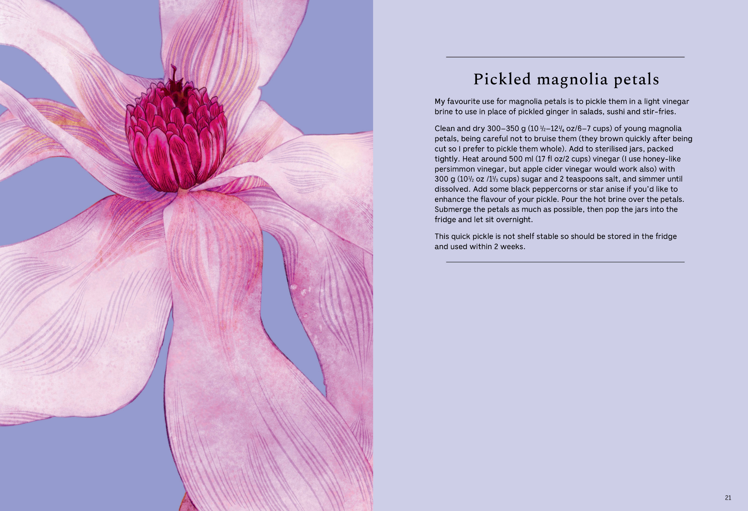 Blossom - Practical and Creative Ways to Find Wonder in the Floral World