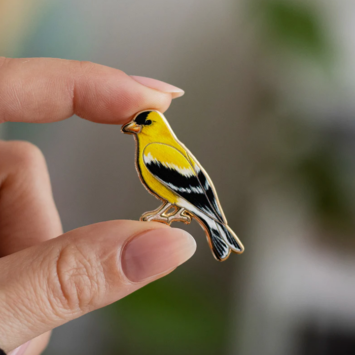 Eastern Goldfinch Pin