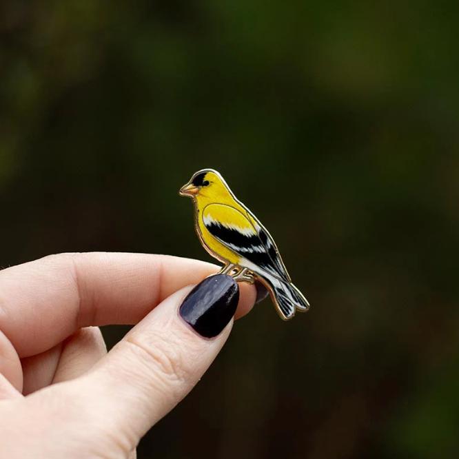 Eastern Goldfinch Pin