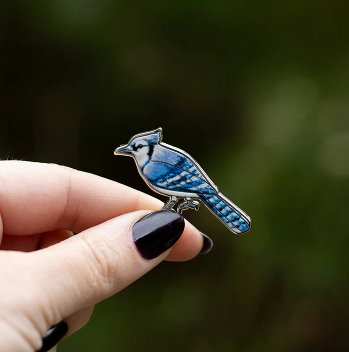 Blue Jay Pin