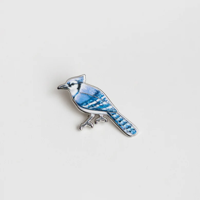 Blue Jay Pin