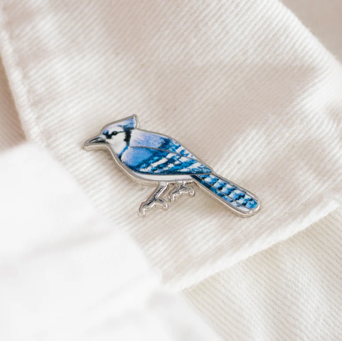Blue Jay Pin