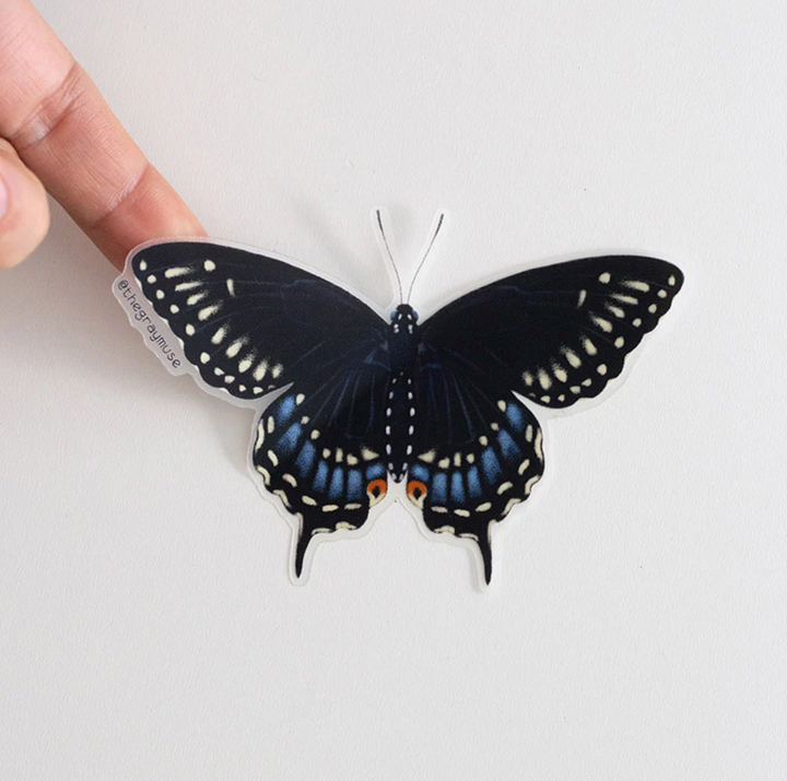 Black Swallowtail Butterfly Transparent Sticker