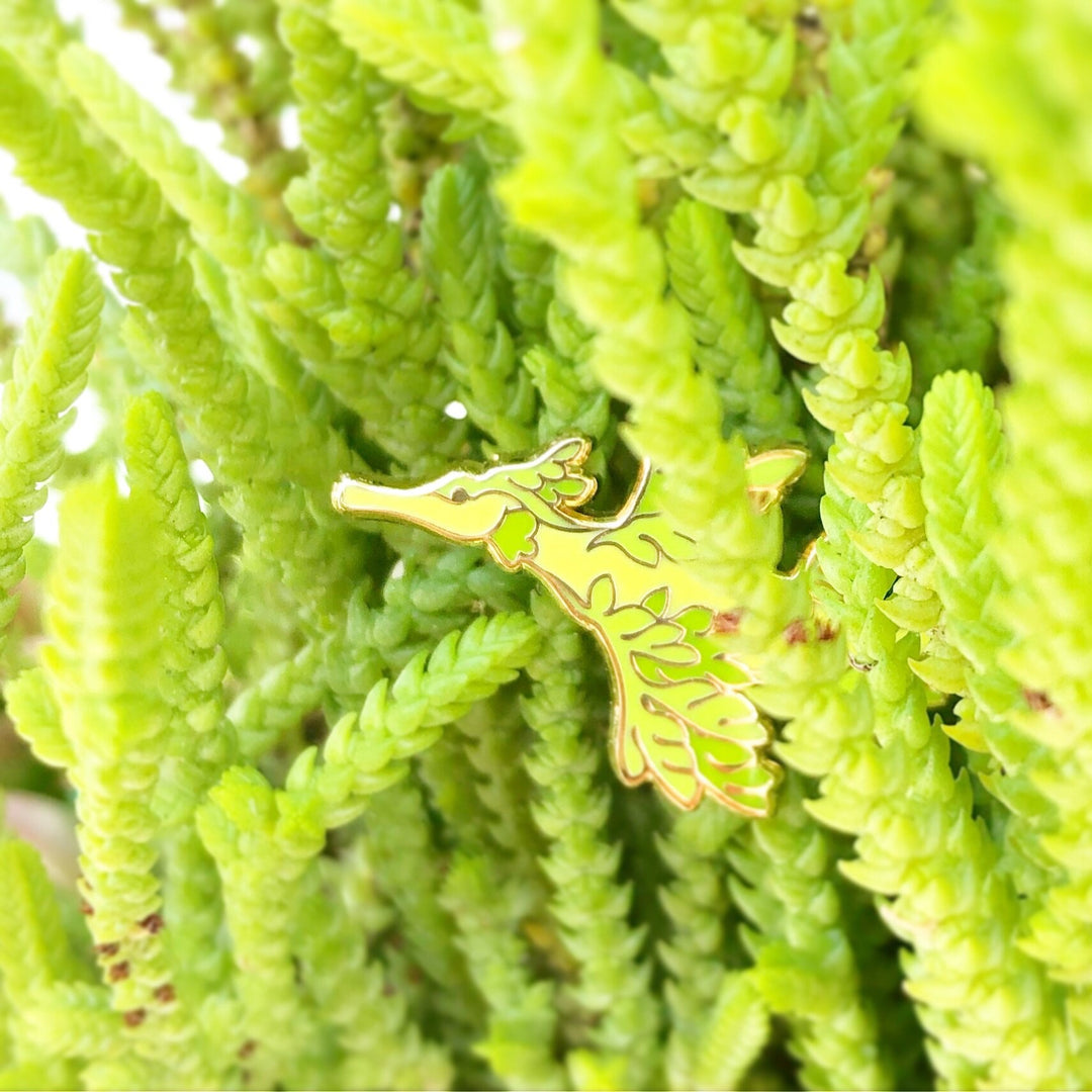 Leafy Seadragon Pin